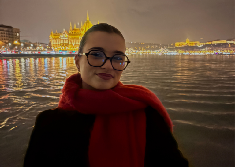 Carouselle portfolio